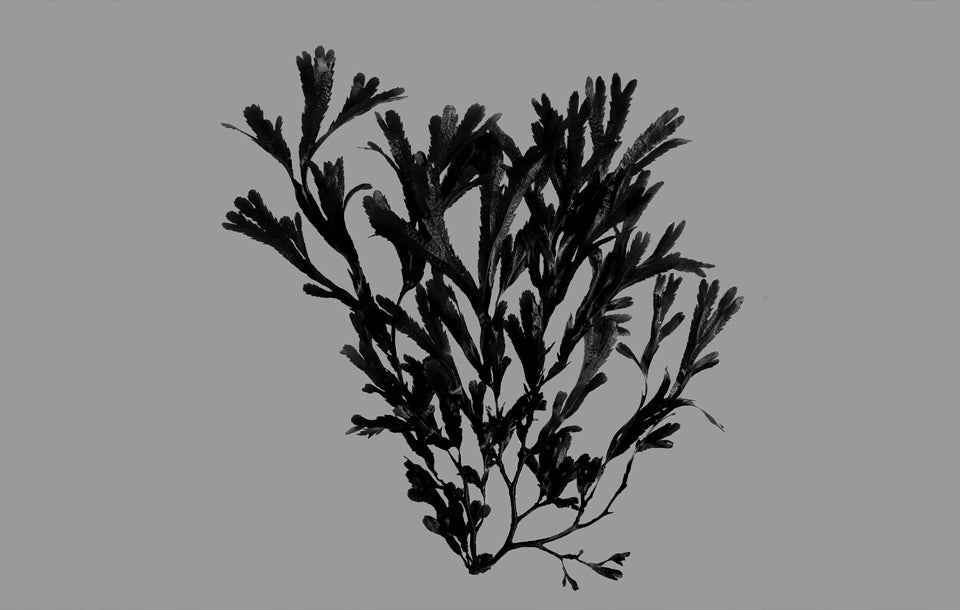 slider image slider_item_Rej3wh